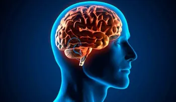  El cerebro humano puede "ver" el futuro en tiempo real
