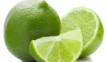 Usos prácticos para usar el limón en casa
