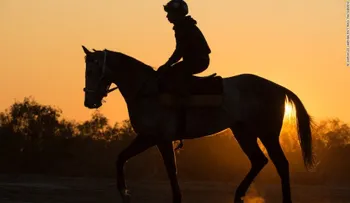 Birdsville: dos días de fama para un pequeño pueblo de Australia