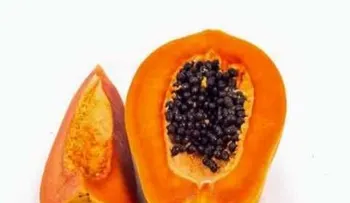 Presta atención a lo que hace la lechoza (Papaya) con el cáncer (VIDEO)