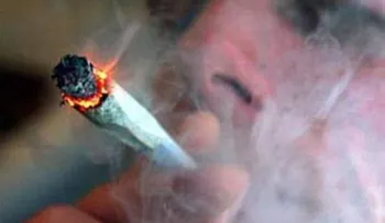 Aseguran fumar marihuana podría curar el ébola