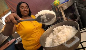 â??Sin arroz no hay vidaâ?; productores con factoría propia en SC