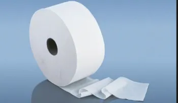 ¿Por qué no es buena idea poner papel higiénico en un inodoro público?
