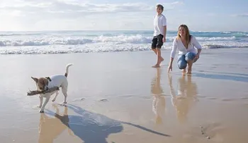 Una mujer confía sus joyas a su perro en la playa y lo pierde todo