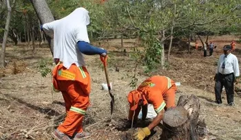 Ayuntamiento siembra mil 689 especies en espacios de la capital