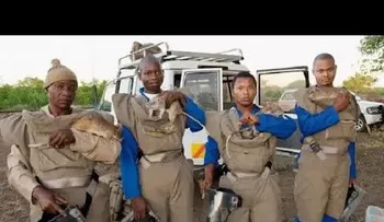 Increíble!!! Las ratas de África están salvando vidas (Video)