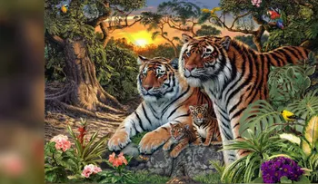 En esta imagen hay 16 tigres, ¿los puedes ver?