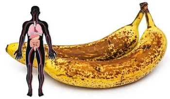 Observa que le sucede a tu cerebro, corazón y cintura si comes 2 bananas al día