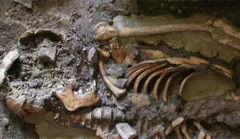 Descubren un origen desconocido de los antepasados europeos