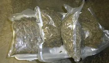 Dican y MP apresan 6 personas tras ocupar droga en allanamientos