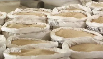 El superalimento etíope cuya exportación estaba prohibida ya está a la venta en varios países