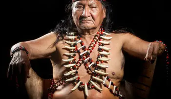 Todo lo que hay que saber sobre Ayahuasca