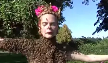 Increíble: Una mujer que baila cubierta de peligrosas abejas