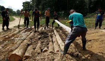 Con el 94% de las FARC movilizadas, las zonas de concentración guerrillera aún no están listas