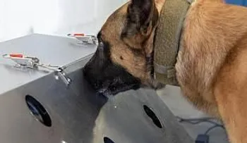 Los perros tienen un asombroso olfato para detectar el covid con hasta un 94% de precisión 