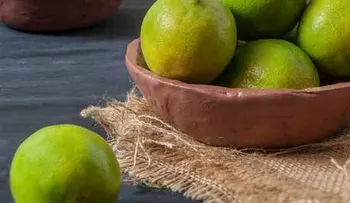 4 remedios para combatir la diarrea
