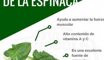 Estas son las enfermedades que evita consumiendo espinaca