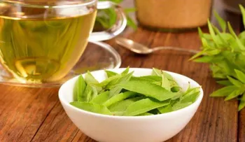 4 remedios naturales con verbena; baja la fiebre, proteger el hígado, para resfriados y gripes