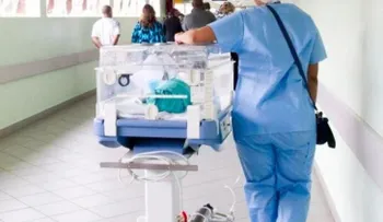 Canadá explica los riesgos de comer placentas humanas
