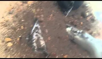 Hallan en Rusia restos de avión hundido hace 75 años (VIDEO)
