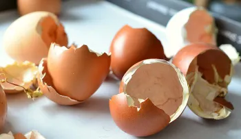 9 razones para no tirar NUNCA MÁS tus cáscaras de huevo