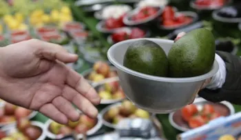 Consumir alimentos alcalinos no sirve para eliminar el coronavirus