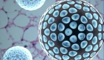 Este nanofármaco podría ser la solución a la obesidad y la diabetes