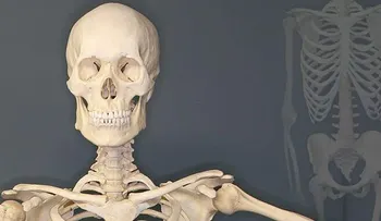 Científicos rusos crean huesos artificiales que no son rechazados por el cuerpo 