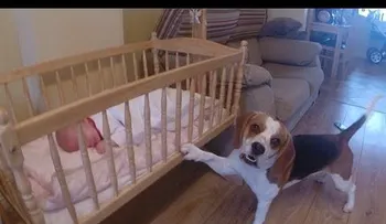Su mamá escuchó su bebé llorando y cuándo fue a la habitación vio algo sorprendente (VIDEO)