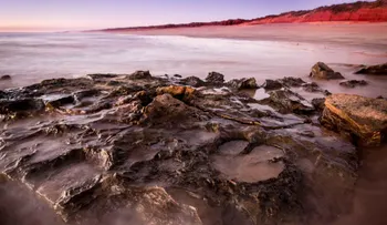 Revelan un hallazgo sin precedentes sobre dinosaurios en el "Jurassic Park" australiano