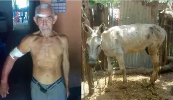 Un burro rabioso ataca a mordiscos a su dueño, Néstor Rafael Méndez, de 76 años