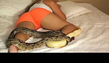 Una mujer grita desesperada, porque su novio le puso dos serpientes en la cama (VIDEO)