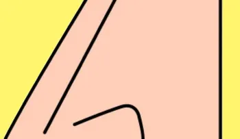 La forma de tu nariz puede guardar relación con tu carácter! «Está escrito en su caraâ?¦»