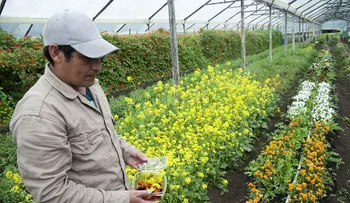 Las claves para impulsar al agro colombiano