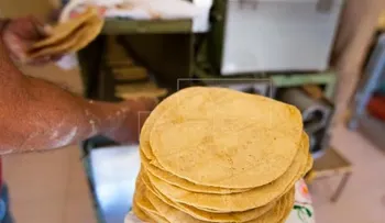 Científicos crean tortillas de cebada para combatir la diabetes y la obesidad