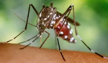  Vacunación masiva en Nigeria para evitar propagación de fiebre amarilla 