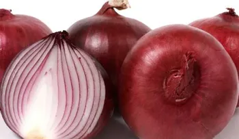 La cebolla:uno de sus poderosos beneficios es la prevención del cáncer; es también un excelente antioxidante 