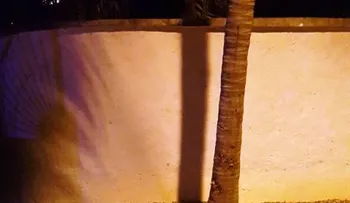 Hallan canadiense muerto y amordazado en un hotel de Sosúa