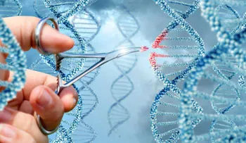  Hallan alteraciones genéticas del autismo que se heredan por el padre 