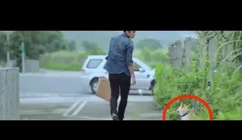 Un hombre abandonó su perro y nunca pensó lo que pasaría luego...(VIDEO)