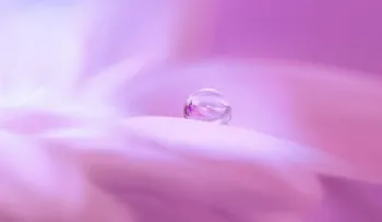 En este pueblo sale agua de color rosa y las autoridades permiten tomarla