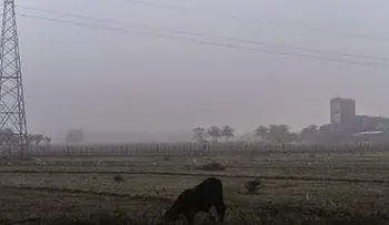 Densa niebla cubre a Dajabón y Montecristi