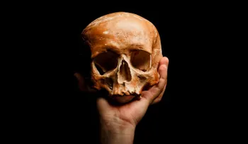 Humanos asesinos de Hobbits