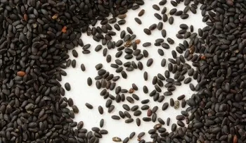 Un secreto asiático para bajar de peso 