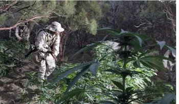 El Big Papa: El narco mexicano del que nunca hablaron los medios