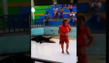 Un cocodrilo muerde el brazo de su entrenador y realiza un "giro mortal" (VIDEO)