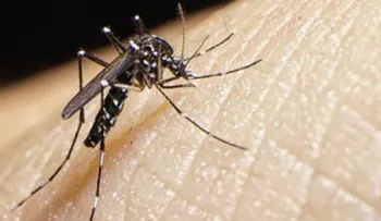 ¡Atención! Estos son algunos síntomas del virus Zika