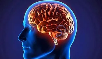 Estas son las claves para mantener el cerebro saludable toda la vida