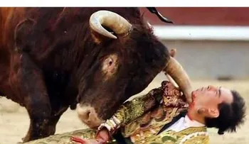Impactante: Un toro atraviesa garganta de un matador en una corrida en Madrid