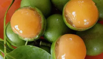 Una fruta más potente que la Guanabana para curar el cáncer y distintas infecciones bacterianas